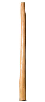 Earl Clements Didgeridoo (EC517)